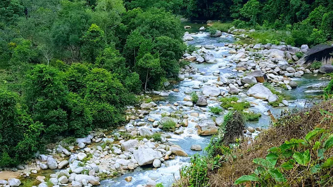 Tình Huống Du Lịch Thực Tế Từ Góc Nhìn Lữ Khách