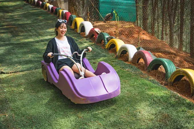 Dalat Wonderland: Ốc Đảo Sa Mạc Xương Rồng Độc Đáo Giữa Lòng Phố Núi