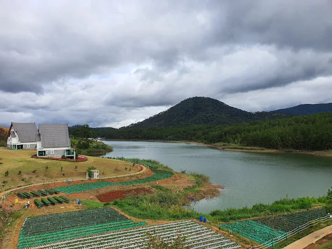 Những Câu Hỏi Thường Gặp Khi Khám Phá Dalat Wonderland