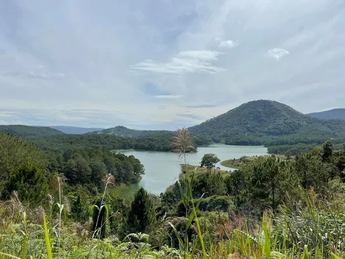 Dalat Wonderland Tourist Area