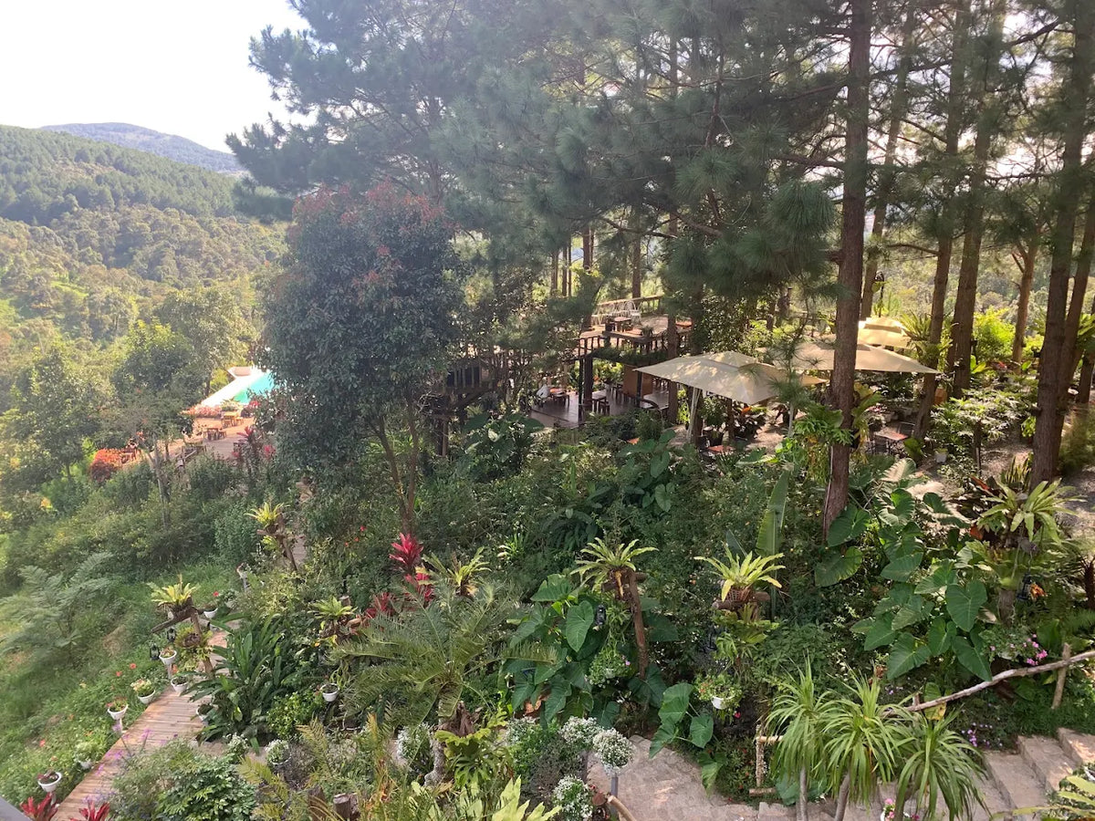 Khu Du Lịch Sinh Thái Cao Nguyên Hoa Đà Lạt