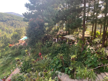 Khu Du Lịch Sinh Thái Cao Nguyên Hoa Đà Lạt