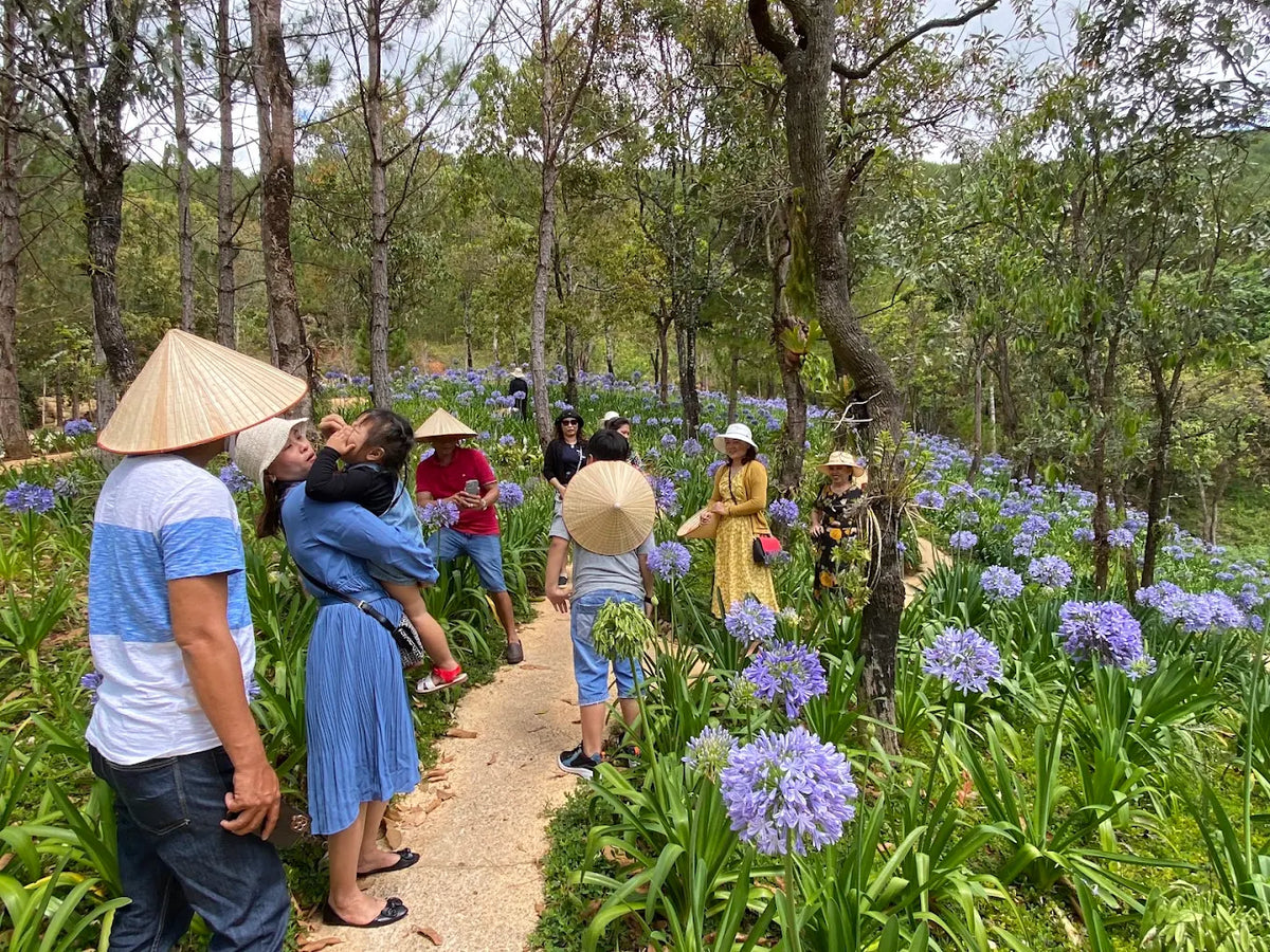 Khu Du Lịch Sinh Thái Cao Nguyên Hoa Đà Lạt: Thiên Đường Xanh Mát Giữa Ngàn Thông
