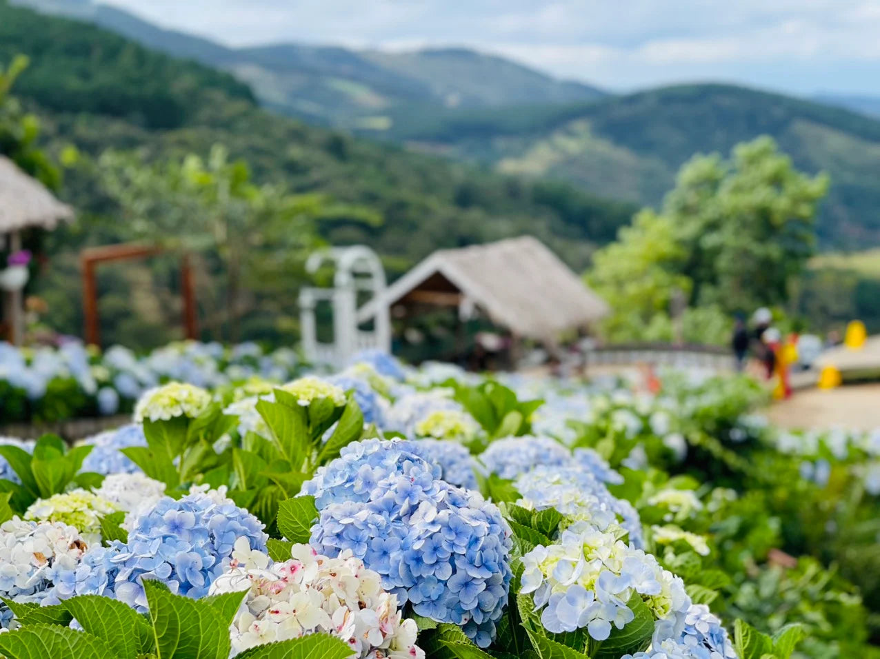 Khu Du Lịch Sinh Thái Cao Nguyên Hoa Đà Lạt
