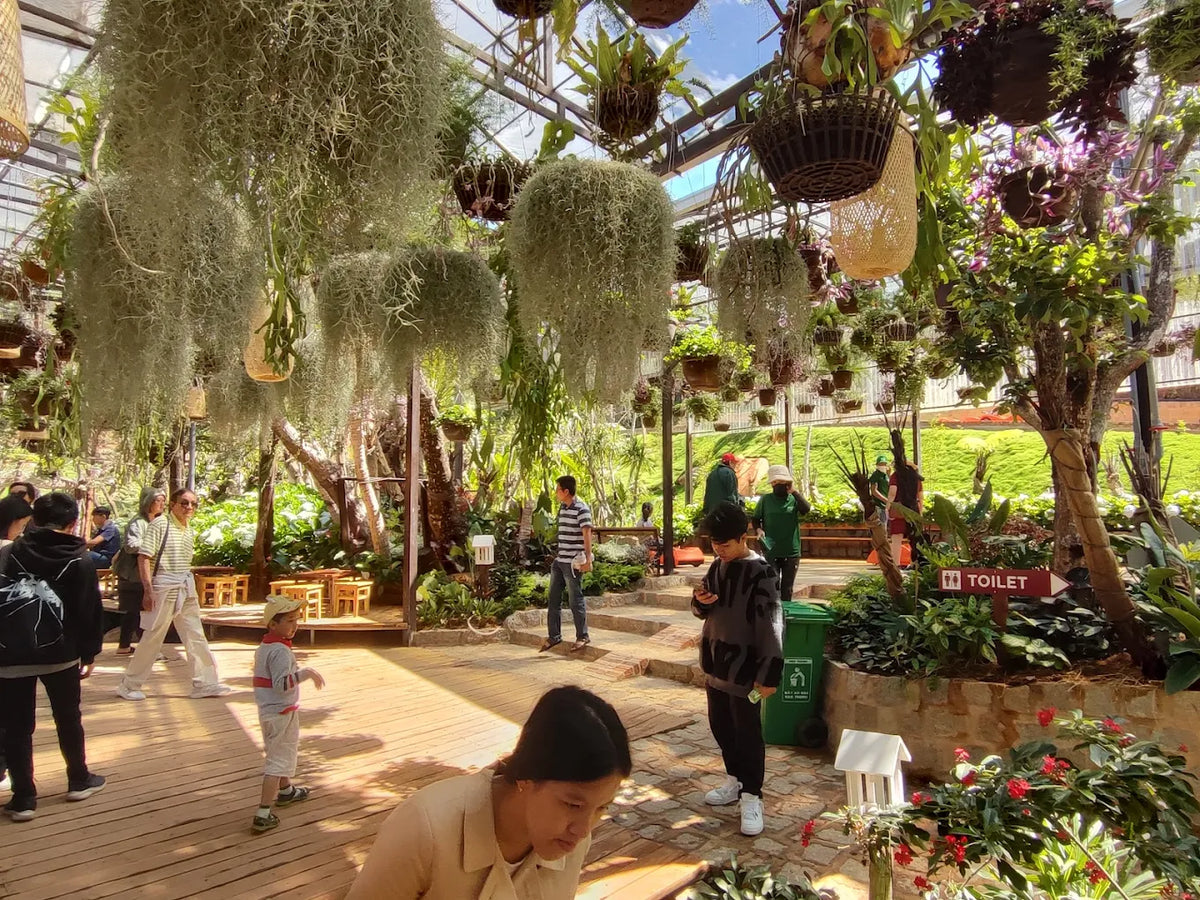 Những Trải Nghiệm Độc Đáo Và Tọa Độ Sống Áo Triệu View