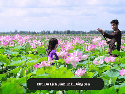 Khu Du Lịch Sinh Thái Đồng Sen