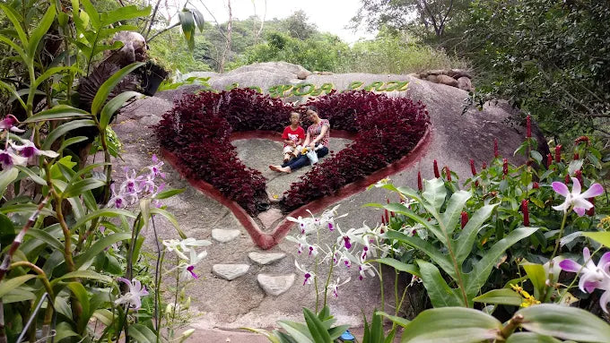 Orchid Island Nha Trang Tourist Area