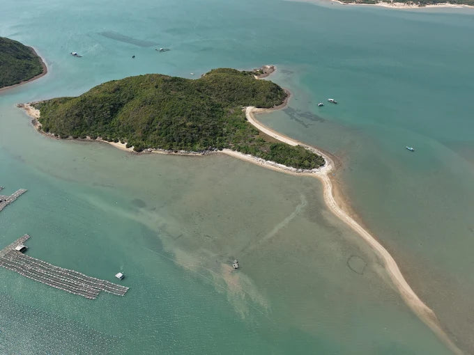 Orchid Island Nha Trang Tourist Area