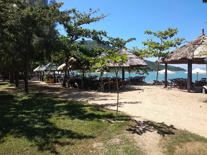 So Sánh Các Phương Án Trải Nghiệm Đảo Hoa Lan Nha Trang