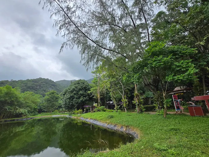 Tại Sao Nên Tin Tưởng Và Lựa Chọn Nền Tảng Localtrips.ORG?