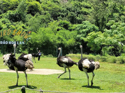 Khu du lịch Đảo Hoa Lan Nha Trang