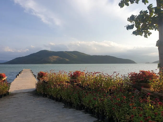 Vương Quốc Hoa Lan Và Hệ Sinh Thái Rừng Biển Độc Đáo