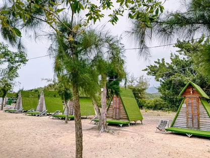Check-in Con Đường Hoa Lan Và Khu Vườn Bướm Rực Rỡ Sắc Màu