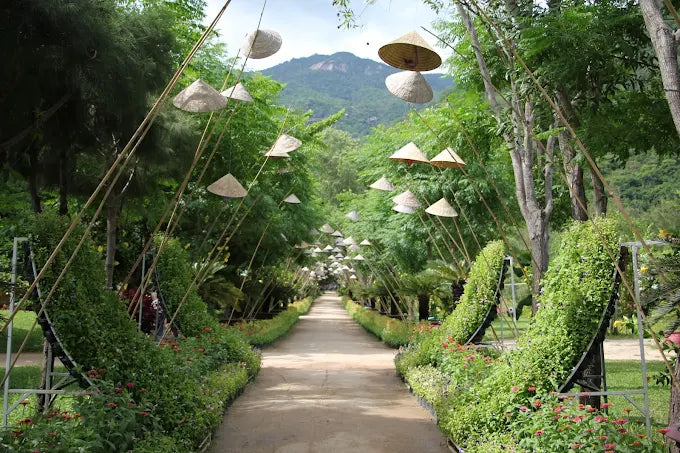 Thư Giãn Tuyệt Đối Tại Bãi Biển An Bình Hoang Sơ