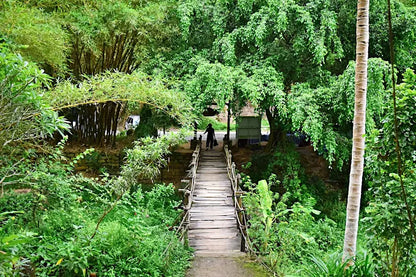 Khu du lịch Kong Forest