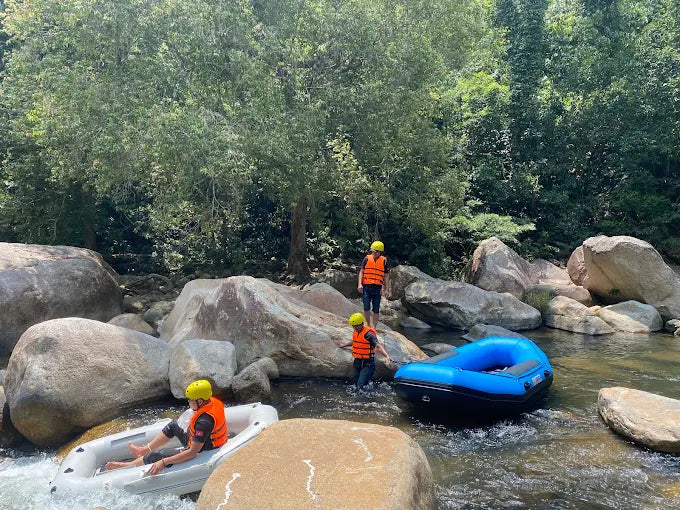 So Sánh Các Hình Thức Tổ Chức Chuyến Đi Đến Kong Forest