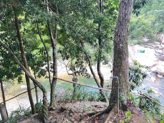 Khu du lịch Kong Forest: Phá Đảo Thiên Đường Thám Hiểm Giữa Rừng Già Hòn Bà