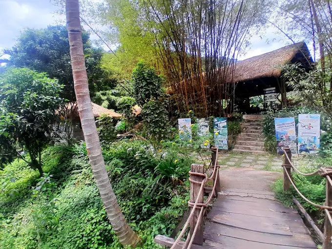 Kong Forest Tourist Area