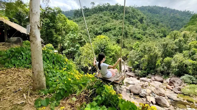 Kong Forest Tourist Area