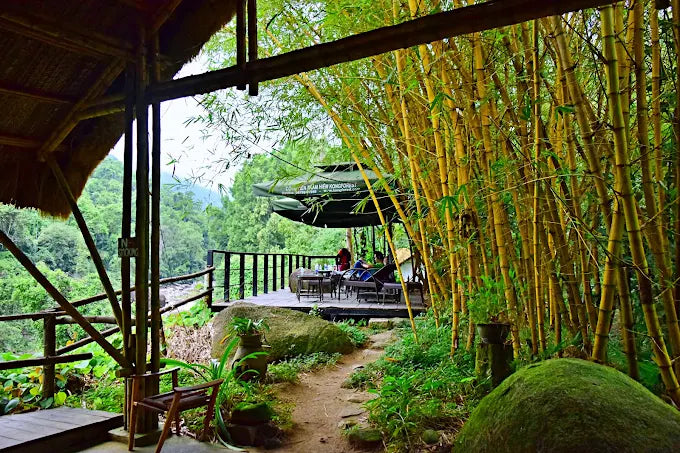 Kong Forest Tourist Area