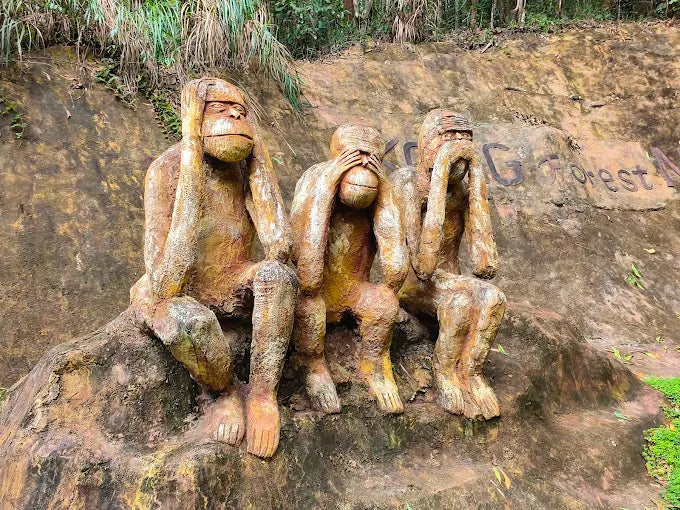 Khu du lịch Kong Forest