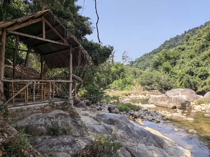 Những Quyền Lợi Vượt Trội Khi Đặt Dịch Vụ Qua Localtrips.ORG