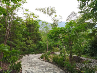 Alexandre Yersin Memorial in Suoi Dau