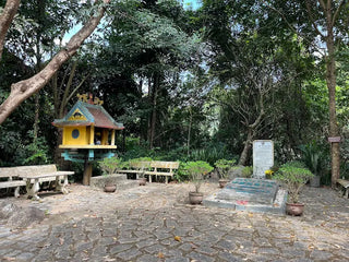 Nền tảng Localtrips.ORG có hỗ trợ đặt thuyết minh viên tiếng Pháp hoặc tiếng Anh tại chỗ không?