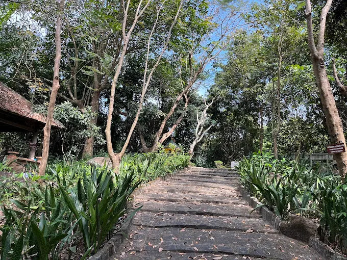 Dấu Ấn Di Sản Khoa Học Vĩ Đại Tại Suối Dầu Cam Lâm