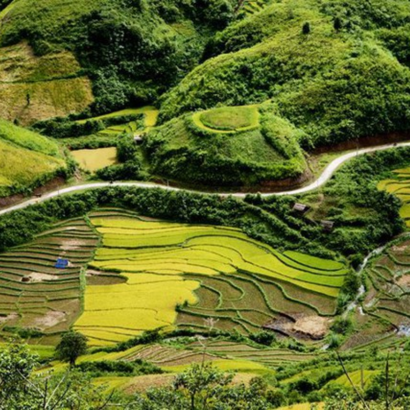 Kinh Nghiệm Khi Tham Quan Cao nguyên Sìn Hồ