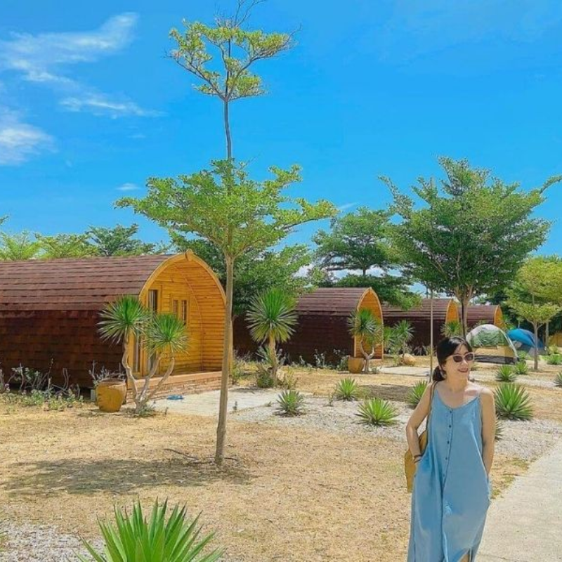 Kinh Nghiệm Khi Tham Quan Khu Du Lịch Dã Ngoại Tanyoli
