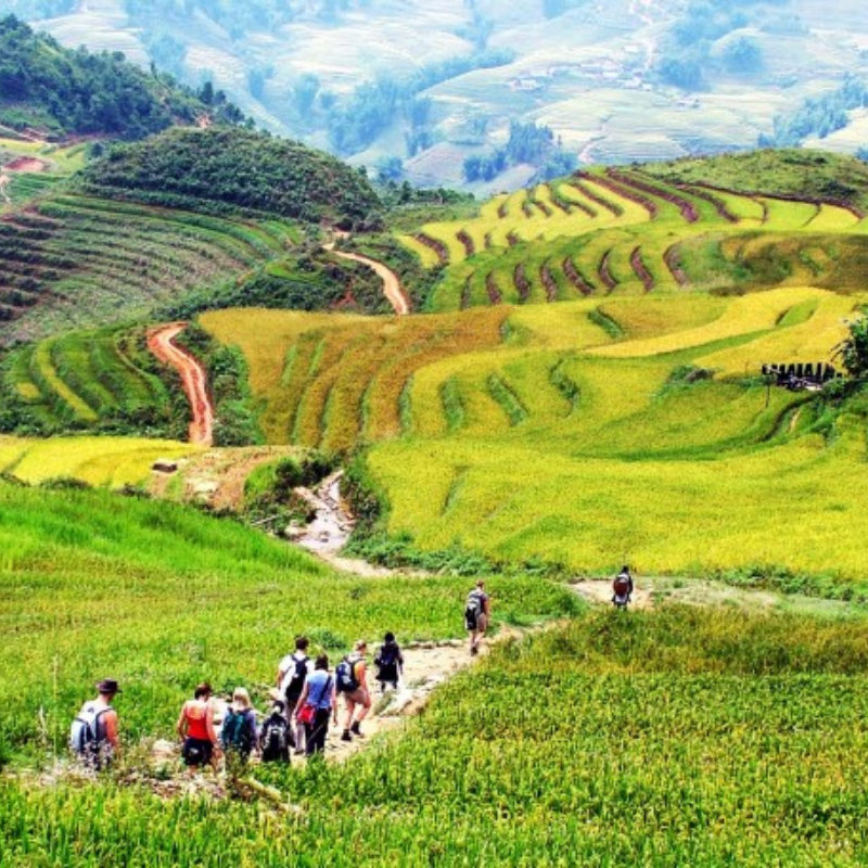 Kinh Nghiệm Khi Tham Quan Bản Tả Phìn – Bí Quyết Cho Chuyến Đi Trọn Vẹn
