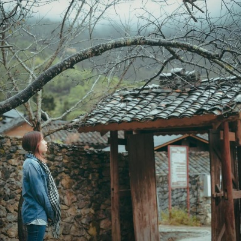 Kinh Nghiệm Khi Tham Quan Làng Văn Hóa Lũng Cẩm