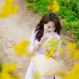 Kinh nghiệm khi tham quan Đường Hoa Điệp tại Hà Nội