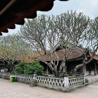 Kinh Nghiệm Khi Tham Quan Chùa Keo

