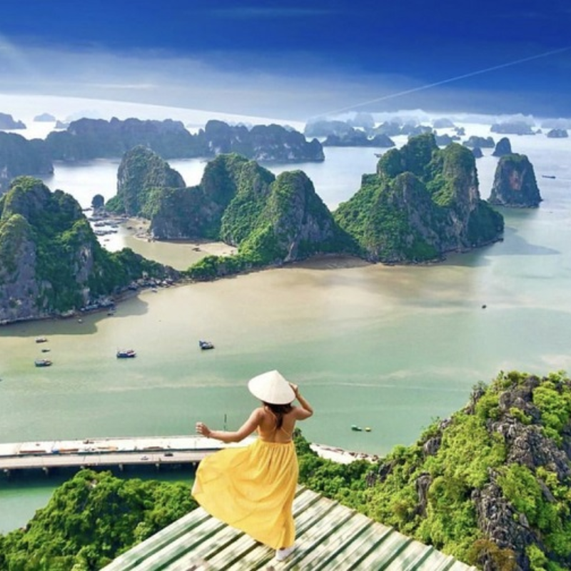 Kinh nghiệm du lịch Vịnh Hạ Long: Cẩm Nang Từ Local Trips
