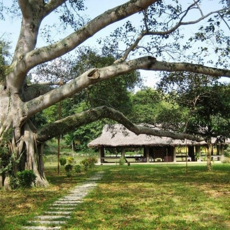 Kinh Nghiệm Khi Tham Quan Khu Di Tích Lịch Sử Tân Trào
