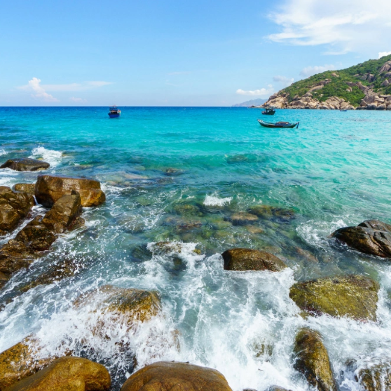 Kinh nghiệm đi Hòn Rùa Bình Ba và Các Hoạt Động Thú Vị
