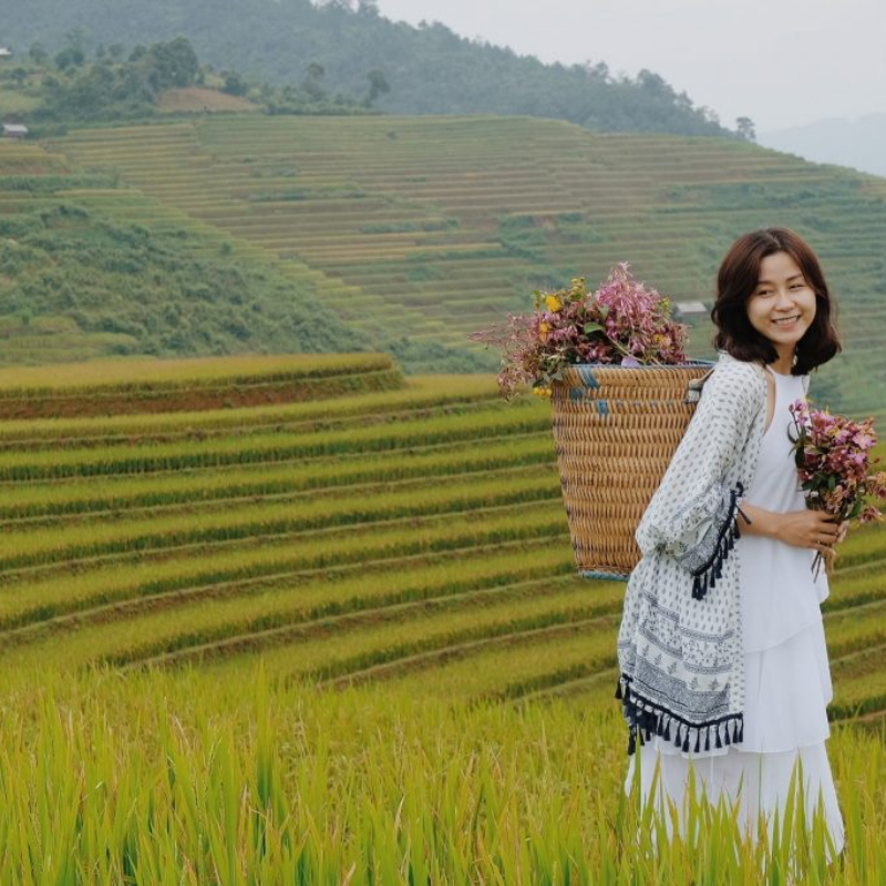Kinh Nghiệm Khi Tham Quan Ruộng Bậc Thang Hoàng Su Phì - Để Chuyến Đi Thêm Trọn Vẹ