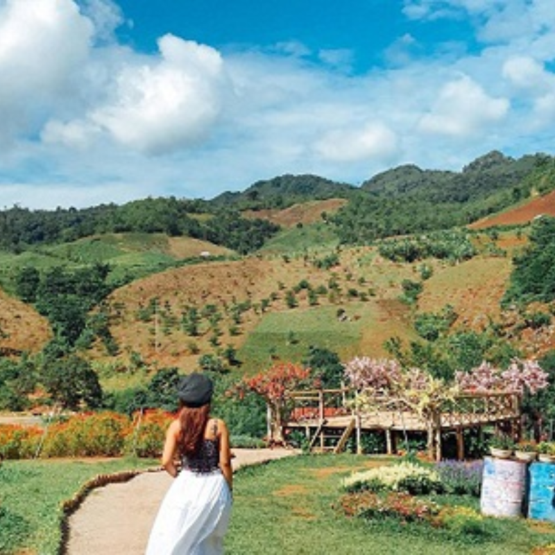 Kinh Nghiệm Đi Happy Land Mộc Châu