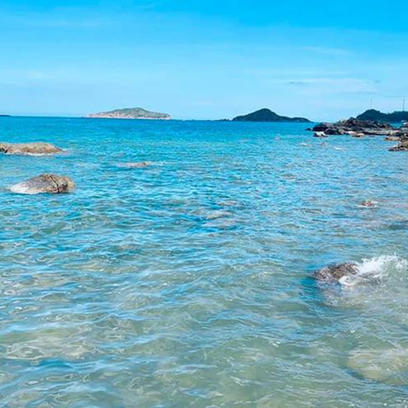 Nên Đến Bãi Dại Mùa Nào Đẹp Nhất?
