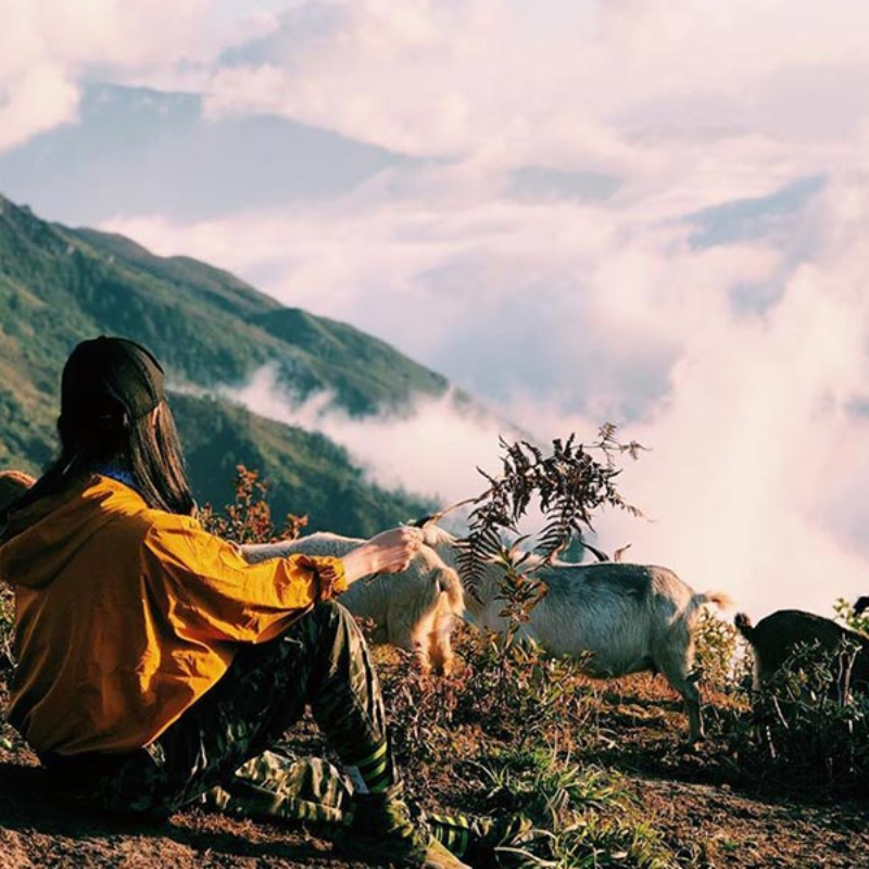 Lịch Sử Hình Thành Đỉnh Pu Si Lung