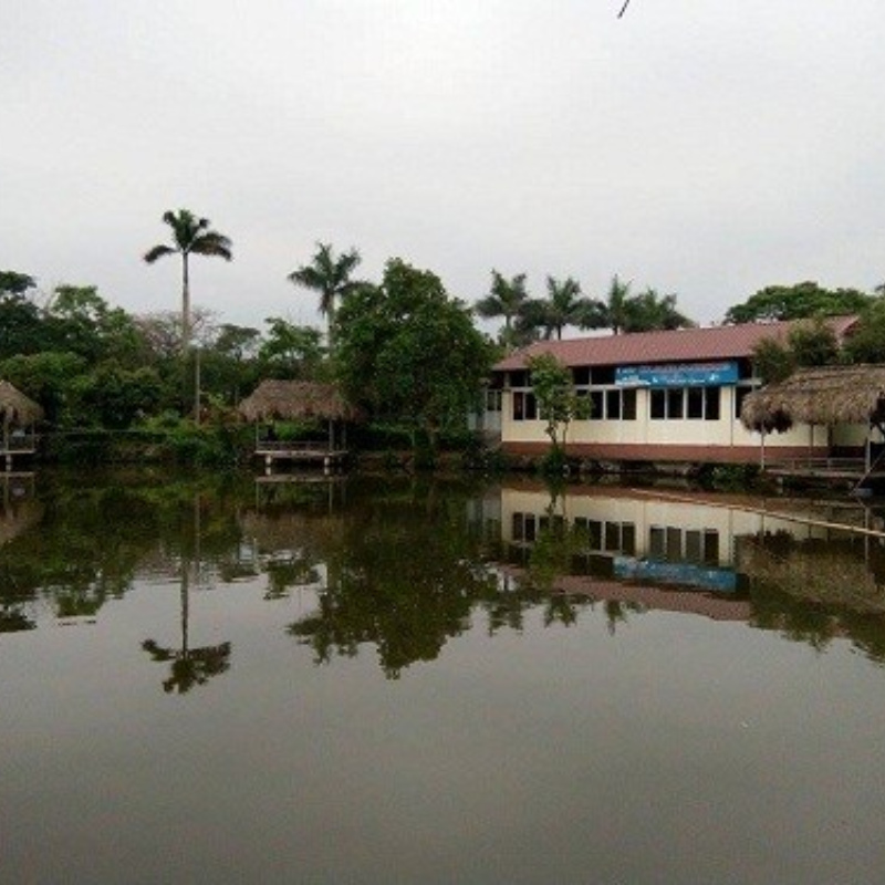 Lịch Sử Hình Thành Khu Sinh Thái Vườn Quả Từ Liêm