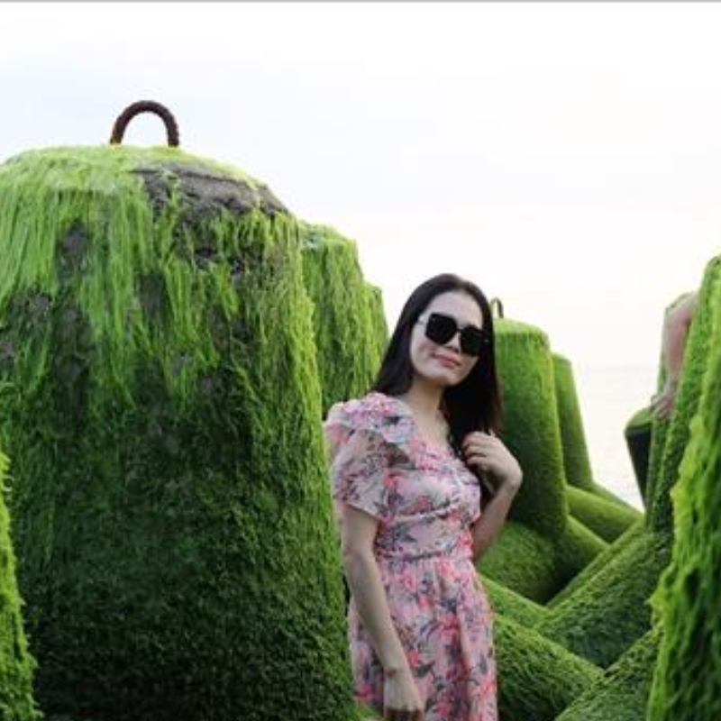 Nên Đi Bãi Rêu Xóm Rớ Vào Mùa Nào?
