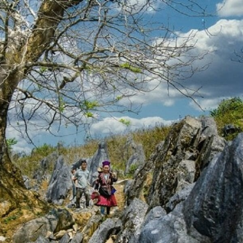 Lịch Sử Hình Thành Cao Nguyên Đá Tủa Chùa