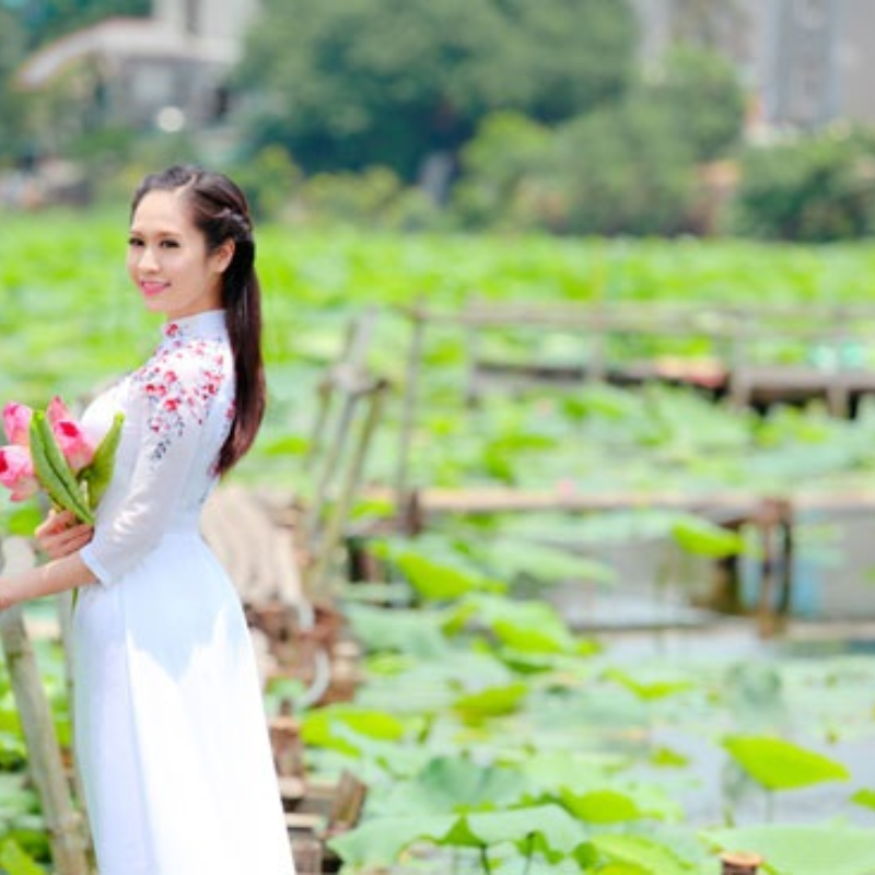 Lịch Sử Hình Thành Đầm Sen Xuân Đỉnh
