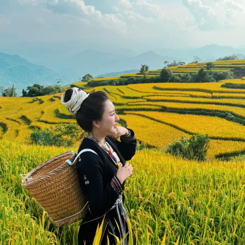 Lịch Sử Ruộng bậc thang Hồng Thái
