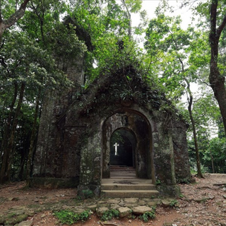 Lịch Sử Nhà Thờ Đổ Ba Vì: Dấu Ấn Thời Gian Trên Phế Tích Rêu Phong
