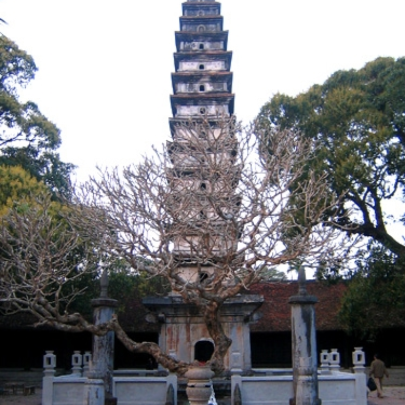Lịch Sử Hình Thành Tháp Phổ Minh
