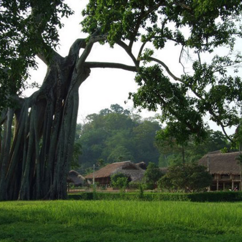 Lịch Sử Hình Thành Khu Di Tích Lịch Sử Tân Trào
